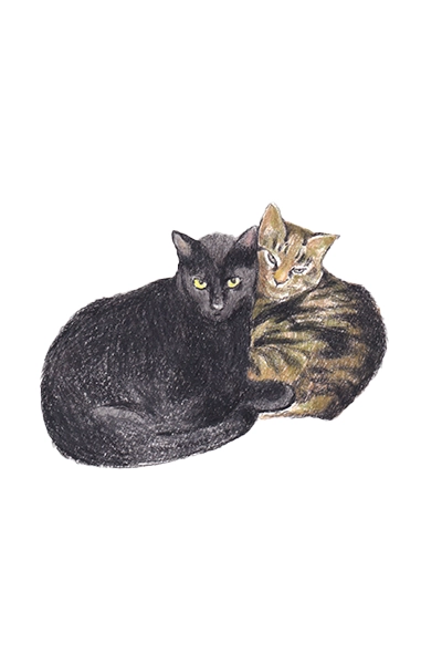 Drawing 8
