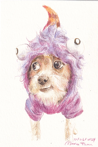 Drawing 12