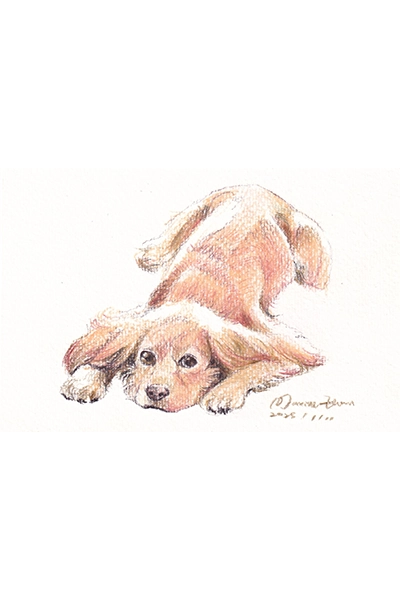 Drawing 14