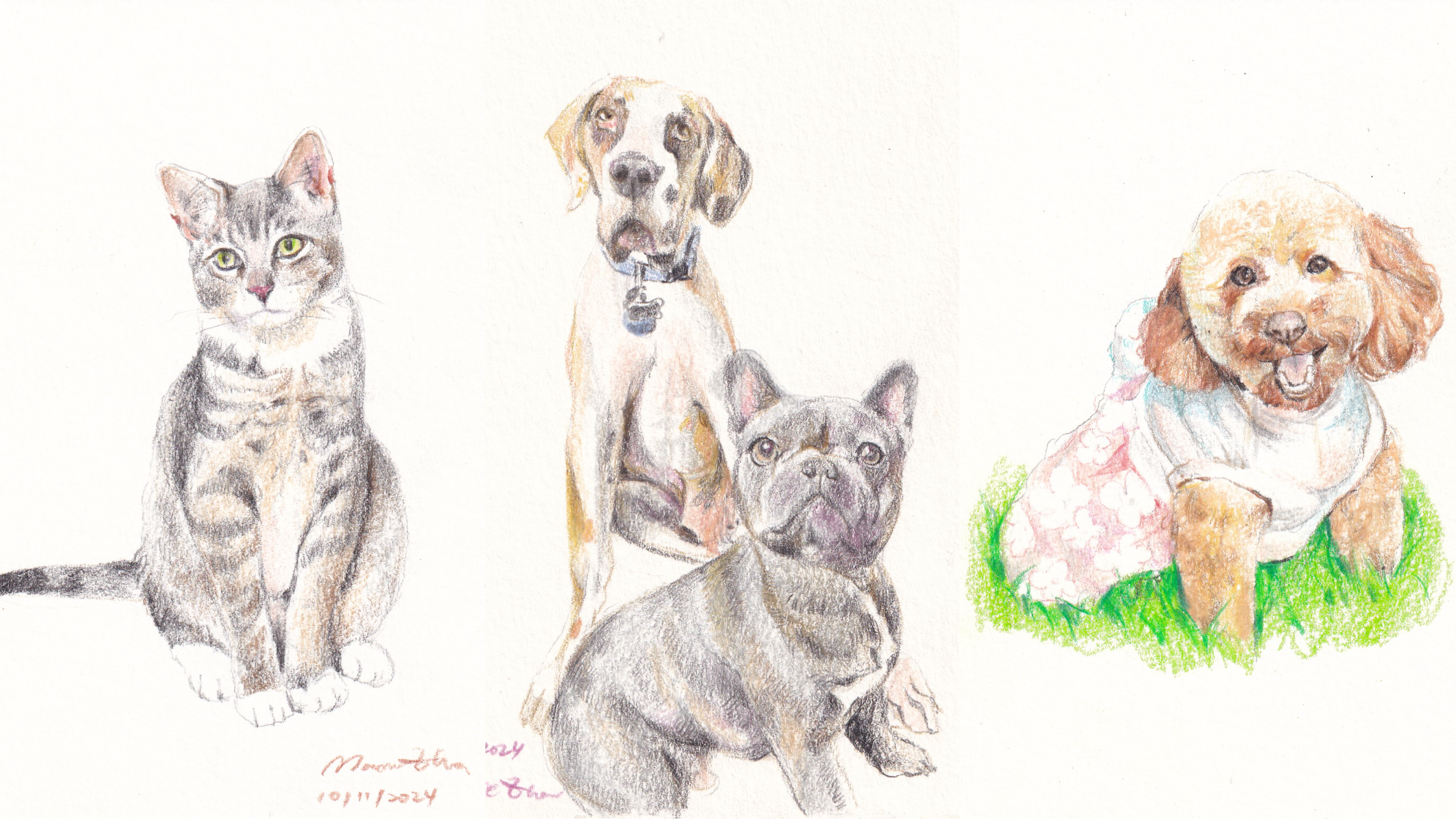Color Pencil